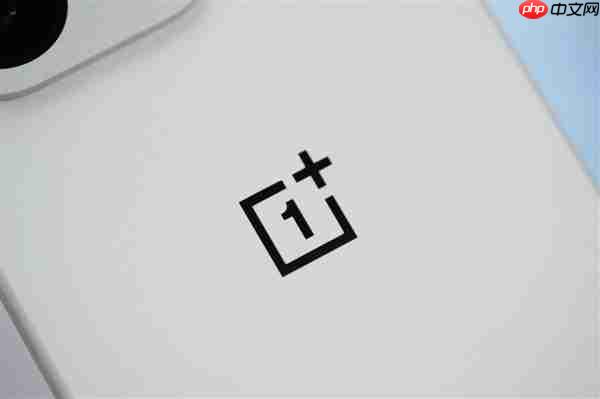 行业第一块165Hz高刷高分屏!一加15图赏