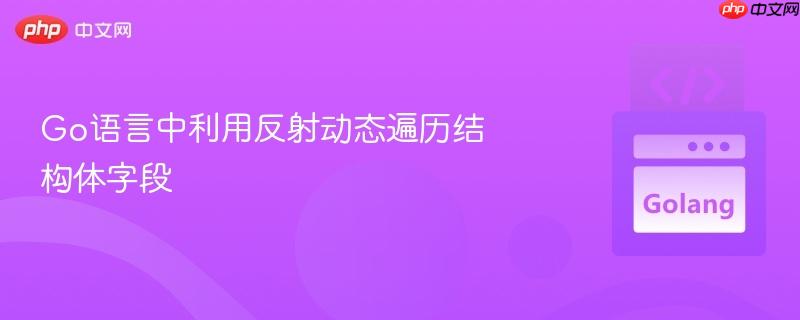 go语言中利用反射动态遍历结构体字段