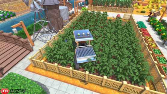 周末爆肝计划启动!可玩200+小时的《金垦小镇》更新大版本啦