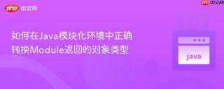 如何在Java模块化环境中正确转换Module返回的对象类型