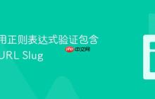 如何使用正则表达式验证包含斜杠的URL Slug