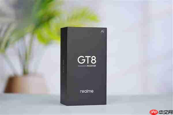 全球首发理光GR影像!真我GT8 Pro图赏