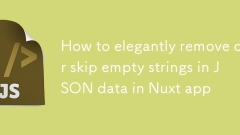Nuxt應用中如何優雅地移除或跳過JSON數據中的空字符串