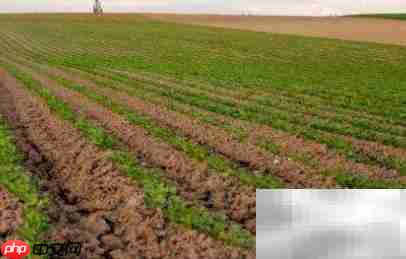 农村土地承包证办理及纠错指南