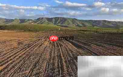 农村土地承包证办理及纠错指南