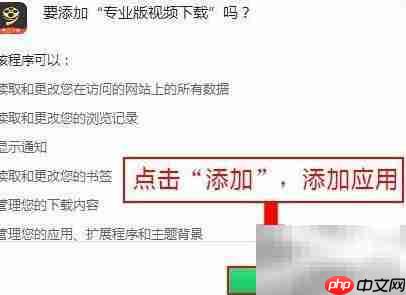 专业版视频下载安装教程