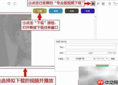专业版视频下载安装教程