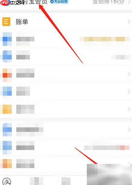 支付宝积分兑换实用指南