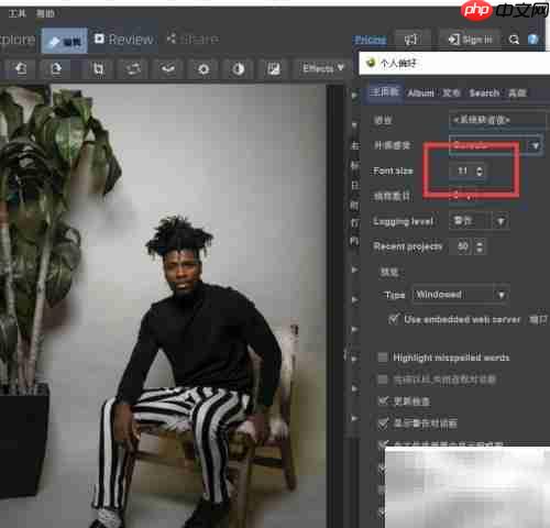 如何调整jAlbum字体大小