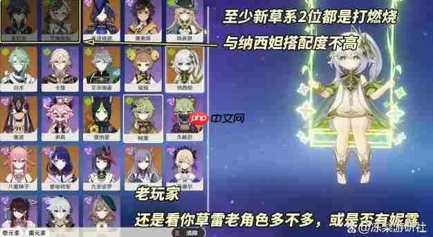 《原神》纳西妲复刻抽取建议