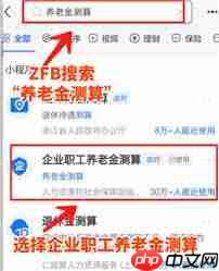 支付宝养老金待遇测算准不准