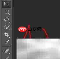 PS显示变换控件方法