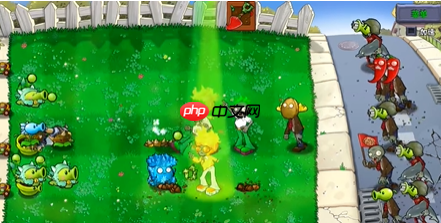 《植物大战僵尸杂交版》火焰舞王及舞者僵尸属性介绍