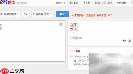 百度翻译网页使用指南