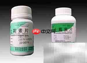 服西药需忌口吗?一文读懂