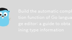 Construire la fonction d'auto-complétion de l'éditeur de langage Go : un guide pour obtenir des informations de type