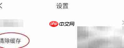 鸿信缓存清理方法