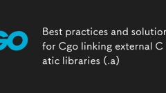 Meilleures pratiques et solutions pour Cgo reliant des bibliothèques statiques C externes (.a)