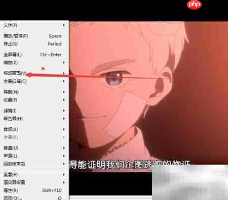 如何用Aya播放器双倍尺寸