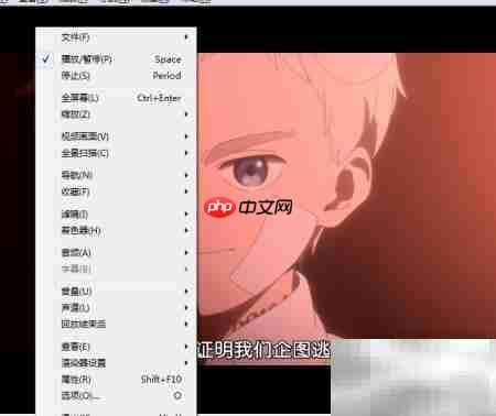 如何用Aya播放器双倍尺寸
