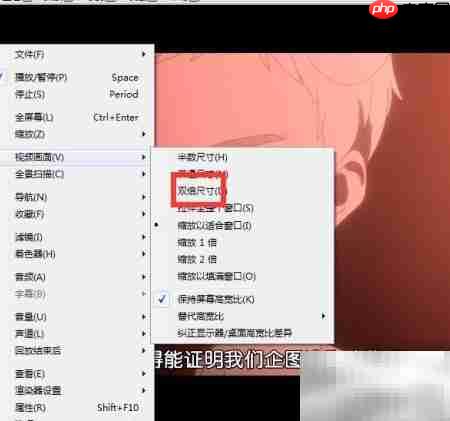 如何用Aya播放器双倍尺寸