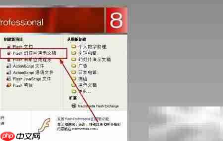 Flash课件制作经典教程