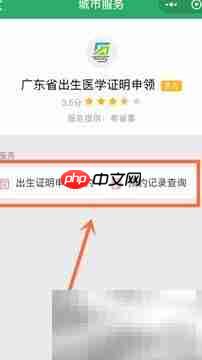 微信申领出生证明指南