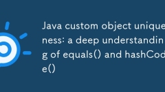Unicité des objets personnalisés Java : compréhension approfondie d'equals() et de hashCode()