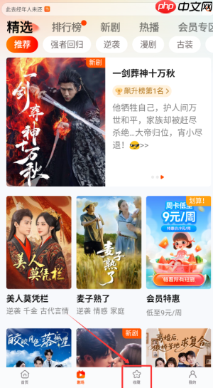 《繁华剧场》收藏电视剧方法