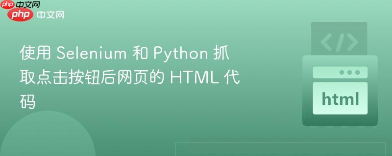 使用 Selenium 和 Python 抓取点击按钮后网页的 HTML 代码