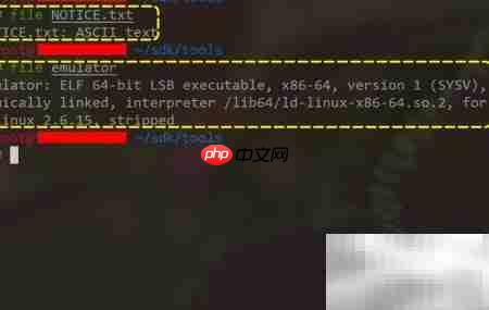 Win10学Linux:文件类型入门