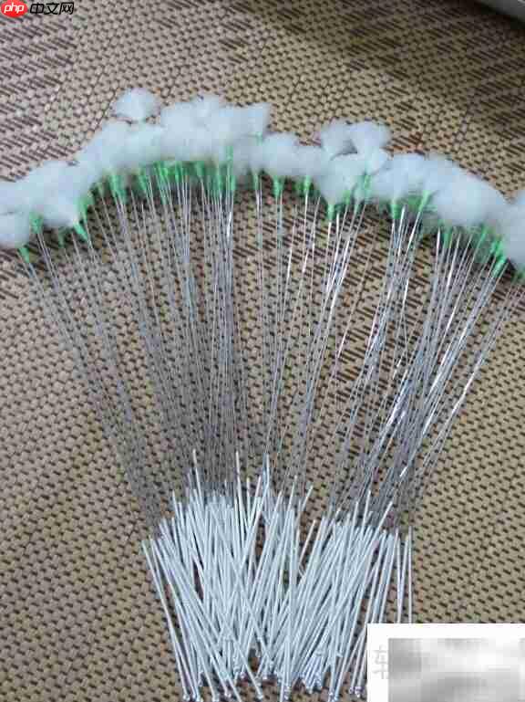 采耳培训与工具使用技巧