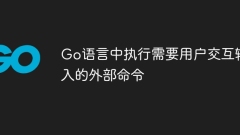 Exécuter des commandes externes qui nécessitent une saisie interactive de l'utilisateur en langage Go
