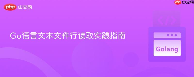 Go语言文本文件行读取实践指南