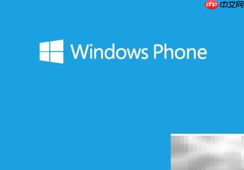 主流手机操作系统大盘点