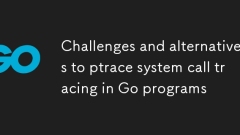 Défis et alternatives au suivi des appels du système ptrace dans les programmes Go
