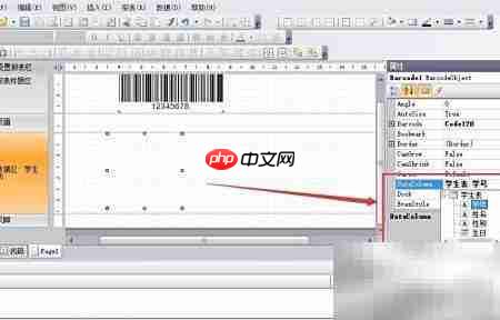 FastReport.Net条码控件使用