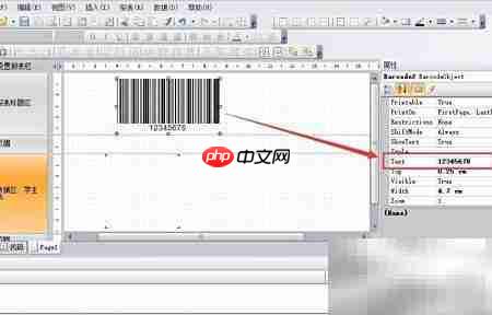 FastReport.Net条码控件使用