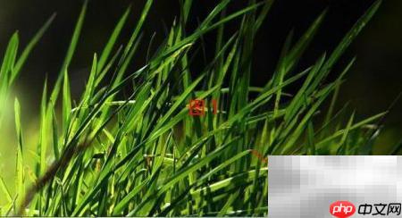 漏洞修复设置方法详解