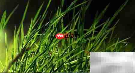 漏洞修复设置方法详解