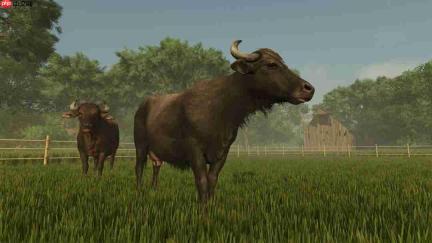 《Farming Simulator: Signature Edition》官网上线!