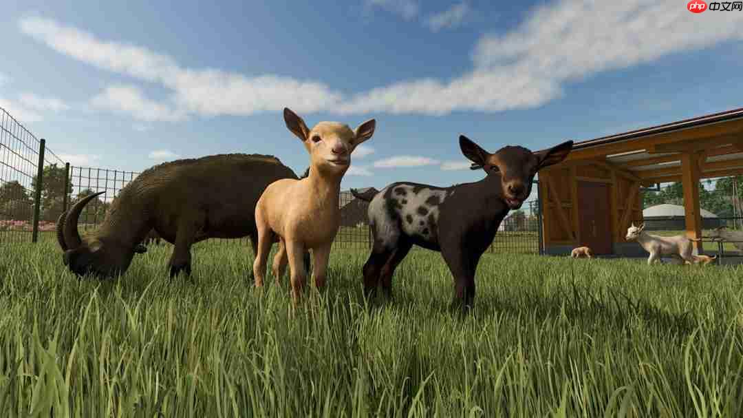 《Farming Simulator: Signature Edition》官网上线!