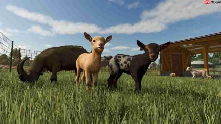 《Farming Simulator: Signature Edition》官网上线!