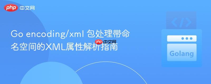 Go encoding/xml 包处理带命名空间的XML属性解析指南
