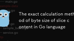 Méthode de calcul précise de la taille en octets du contenu des tranches en langage Go
