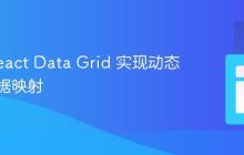 使用 React Data Grid 实现动态列与数据映射