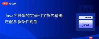 Java字符串特定索引字符的精确匹配与多条件判断