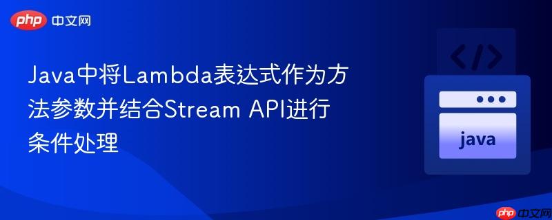 java中将lambda表达式作为方法参数并结合stream api进行条件处理