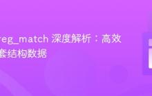PHP preg_match 深度解析:高效提取嵌套结构数据