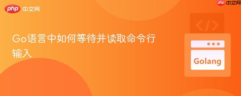 Go语言中如何等待并读取命令行输入
